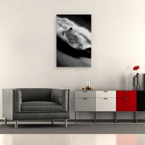 Tablou canvas - Echitatie, Freeride, Schi, Iarna, Tignes, Franta, 40 x 60 cm - Img 2