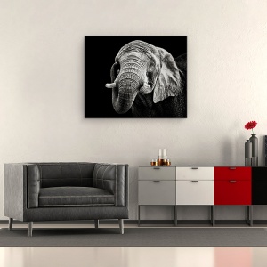Tablou canvas - Elefant African, Monocrom, Animal, Intuneric, 60 x 75 cm - Img 2