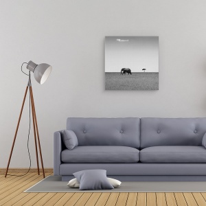 Tablou canvas - Elefantul Si Norul Prietenos, Salbatic, Natura, Animal, 60 x 60 cm - Img 2