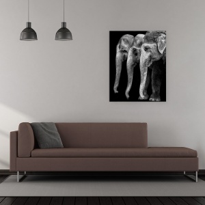 Tablou canvas - Elefantul, Singura Fiinta Mare, Dar Inofensiva, Monocrom, Animale, 60 x 75 cm - Img 2