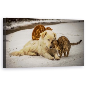Tablou canvas - Emisii Dulci, Strada, Dragoste, Animale, Caine, 50 x 100 cm