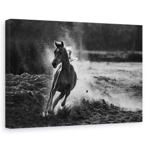 Tablou canvas - Evadare, Animal, Cai, Galop, Forta, 80 x 120 cm