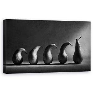 Tablou Canvas - Evolutia, Linie, Coada, Alb-Negru, Fructe, Pere, 50 x 100 cm