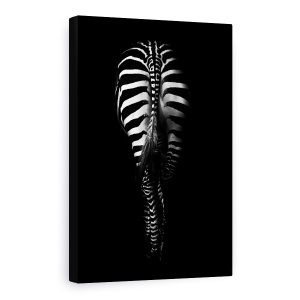 Tablou Canvas - Fara Titlu, Zebra, Coada, Alb-Negru, Dungi, Spate, 80 x 120 cm