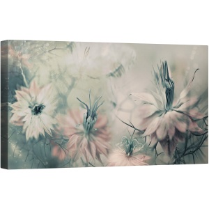 Tablou canvas - Fecioarele Ll, Macro, Prim-Plan, Flori, Nigella, Natura Moarta, 50 x 100 cm