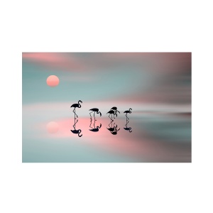Tablou Canvas - Flamingo, Pasari, Natura, Apus 60 x 90 cm