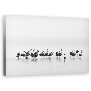 Tablou canvas - Flamingo, Punct, Pasari, Salbatic, 50 x 80 cm