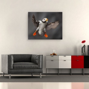 Tablou canvas - Flapsurile Complete, Puffin, Salbatic, Natura, 60 x 75 cm - Img 2