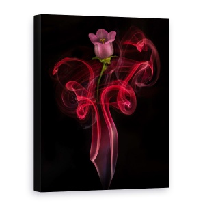 Tablou canvas - Floare Dansand, Campanula, Rosu, Fum, Tamaie, 50 x 70 cm