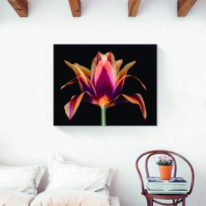 Tablou canvas decorativ floare portocalie 40x50 cm