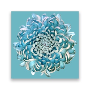 Tablou Canvas - Floral, Albastru, 60 x 60 cm