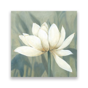 Tablou Canvas - Floral, Flori, Magnolia, Alb, Pictura, 60 x 60 cm