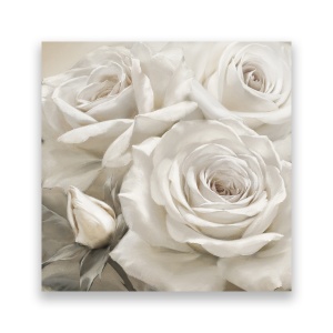 Tablou Canvas - Floral, Flori, Trandafir, Alb, 60 x 60 cm