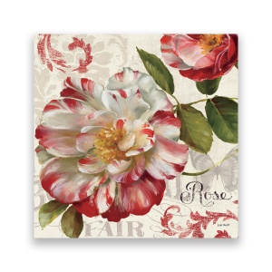 Tablou Canvas - Floral, Trandafir, Alb-Rosu, 60 x 60 cm