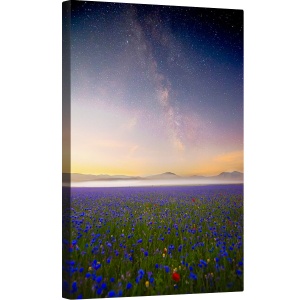 Tablou canvas - Flori de Noapte, Flori, Cer, Galaxie, Joaca, Calea Lactee, Apus, 60 x 90 cm