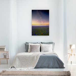 Tablou canvas - Flori de Noapte, Flori, Cer, Galaxie, Joaca, Calea Lactee, Apus, 60 x 90 cm - Img 3