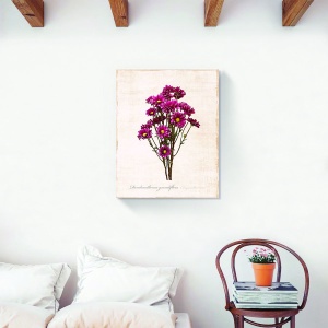 Tablou canvas flori primavara cu crizanteme