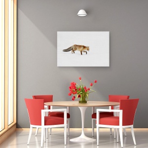 Tablou canvas - Foxy, Zapada, Iarna, Italia, Vulpe Rosie, 80 x 120 cm - Img 4