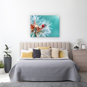 Tablou Canvas - Freedoom, Buburuza, Smoc Pufos, Macro, Papadie, Floare, 50 x 70 cm - Img 3