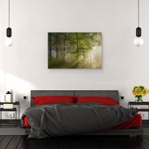 Tablou canvas - Frumusetea Diminetii, Padure, Lumina, Copaci, Zori De Zi, 60 x 90 cm - Img 3