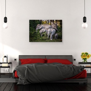 Tablou canvas - Frunze Gustoase, India, Padure, Apus De Soare, Elefant, Familie, 60 x 90 cm - Img 3