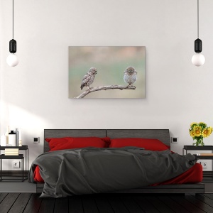 Tablou canvas - Gagica Mea, Bufnita, Salbatic, Pasare, Ramura, 40 x 60 cm - Img 3