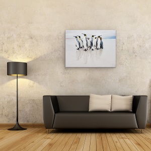 Tablou Canvas - Garda De Corp, Natura, Animal, Pinguin, Salbatic, Plaja, 50 x 70 cm - Img 2
