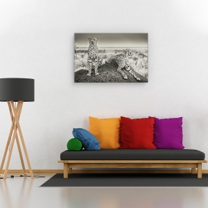 Tablou canvas - Gheparzi la panda, Animal, Camuflaj, Cuplu, Pereche, 80 x 120 cm - Img 2