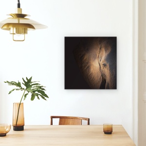 Tablou Canvas - Gigant Bland, Elefant, Botswana, Safari, 60 x 60 cm - Img 4