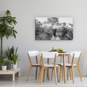 Tablou canvas - Gigant La Plimbare, Elefant, Salbatic, Africa, Safari, Natura, 50 x 80 cm - Img 4