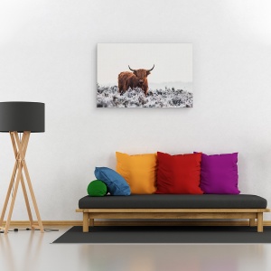 Tablou canvas - Highlander, Bizon, Buffalo, Blana, Animal, 80 x 120 cm - Img 2