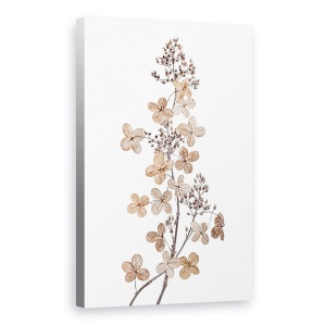 Tablou canvas - Hortensie Paniculata, Toamna, Sezon, Floral, 60 x 90 cm