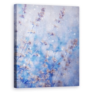 Tablou canvas - Iarna Timpurie, Craciun, Macro, Zapada, Ninge, 60 x 75 cm
