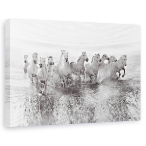 Tablou canvas - Iluzia puterii (13 cai putere), Animal, Actiune, Cai, Alb, 80 x 120 cm