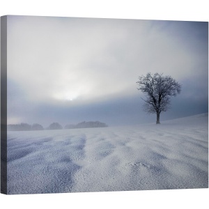 Tablou canvas - Impresie de Iarna, Peisaj, Copac, Alp, Alpin, Singuratic, Iarna, 40 x 50 cm