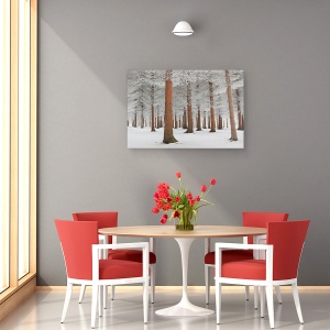 Tablou canvas - In Alb, Peisaj, Zapada, Inghet, Copac, Padure, 40 x 60 cm - Img 4