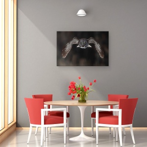 Tablou canvas - In Fata Ta, Natura, Pasari, Mare Gri, Bufnita Gri, 40 x 60 cm - Img 4