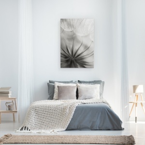 Tablou canvas - In Inima, Papadie, Seminte, Moale, Alb-Negru, Floare, 40 x 60 cm - Img 2