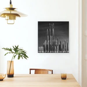Tablou canvas - In Manhattan, Cui, Oras, Sat, Natura Moarta, Conceptual, 60 x 60 cm - Img 4