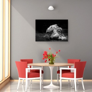Tablou canvas - In Miscare, Salbatic, Lebada, Rata, Cioc, 40 x 60 cm - Img 4