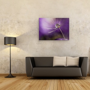 Tablou canvas - In Nuante De Violet, Pene, Perla, Picatura, 50 x 70 cm - Img 2