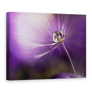 Tablou canvas - In Nuante De Violet, Pene, Perla, Picatura, 60 x 80 cm