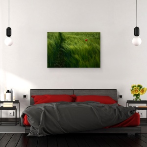Tablou canvas - In Vant, Vara, Maci, Camp, Lunca, 60 x 90 cm - Img 3