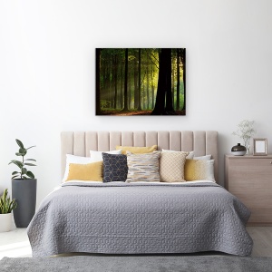 Tablou canvas - Inainte De Cadere, Padure, Ray, Copaci, Vara, Peisaj, 50 x 70 cm - Img 3