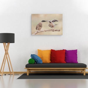 Tablou canvas - Indiferenta, Bufnita, Pasare, Natura, Animal, 40 x 60 cm - Img 2