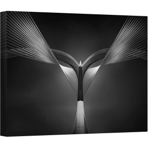 Tablou canvas - Inima de Otel, Arhitectura, Abstract, Reper, Malaysia, Urbana, Alb-Negru, 50 x 70 cm