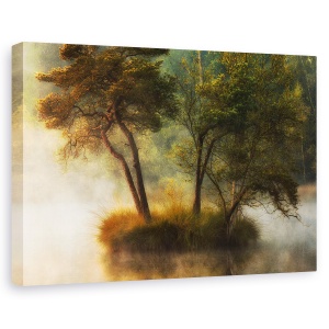 Tablou canvas - Insula Singuratica, Insula, Olanda, Copaci, Insulita, Copac, 40 x 60 cm