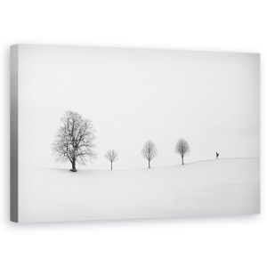 Tablou canvas - Intoarce Ca De Obicei, Simplu, Compozitie, Schior, Persoana, Peisaj, 50 x 80 cm