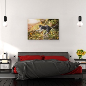 Tablou canvas - Joc De Toamna, Pisica, Pet, Animale De Companie, Acasa, 40 x 60 cm - Img 3