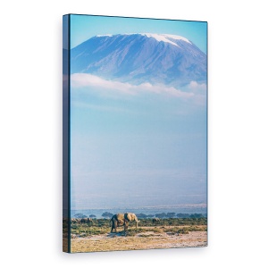 Tablou canvas - Kilimanjaro Si Santinelele Linistite, Elefant, Animale, Salbatic, 40 x 60 cm